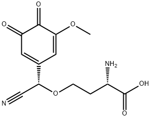 CasImg