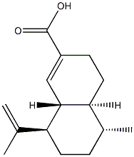 CasImg