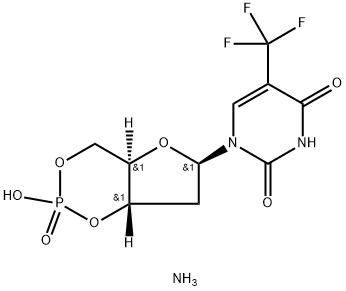 CasImg