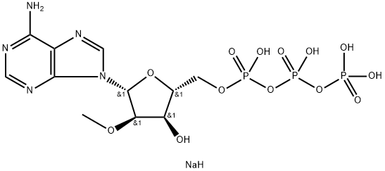 CasImg