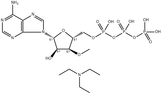 CasImg