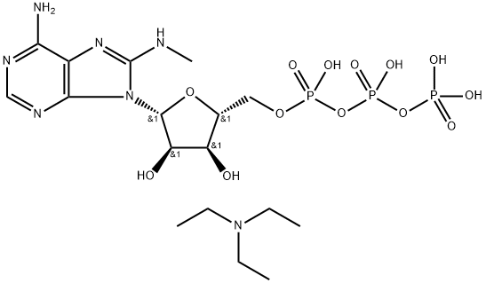 CasImg