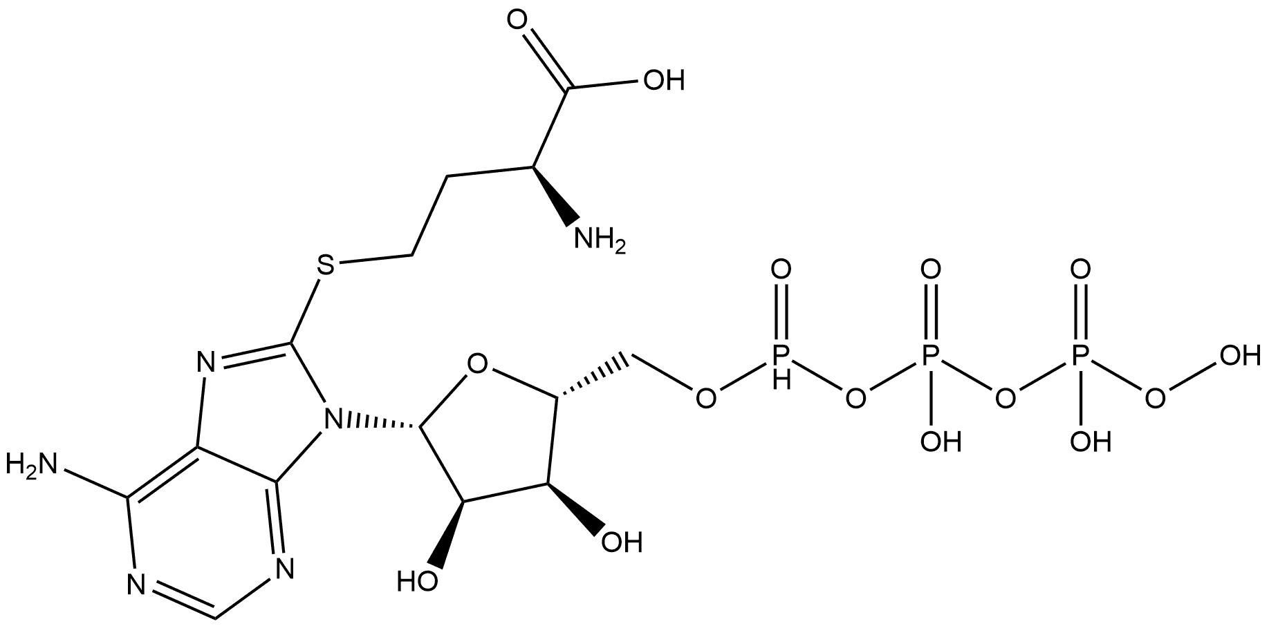 CasImg