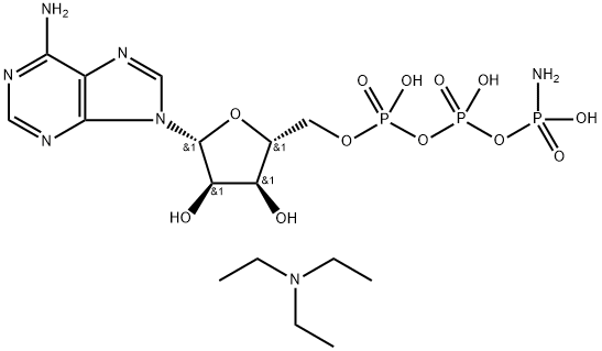 CasImg