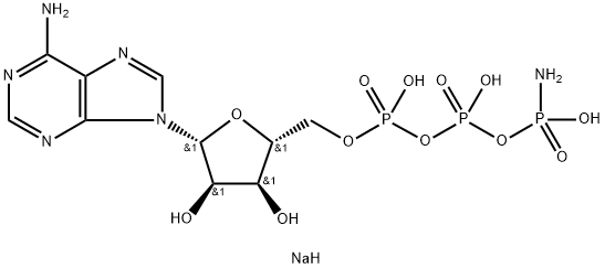 CasImg