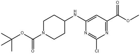 CasImg