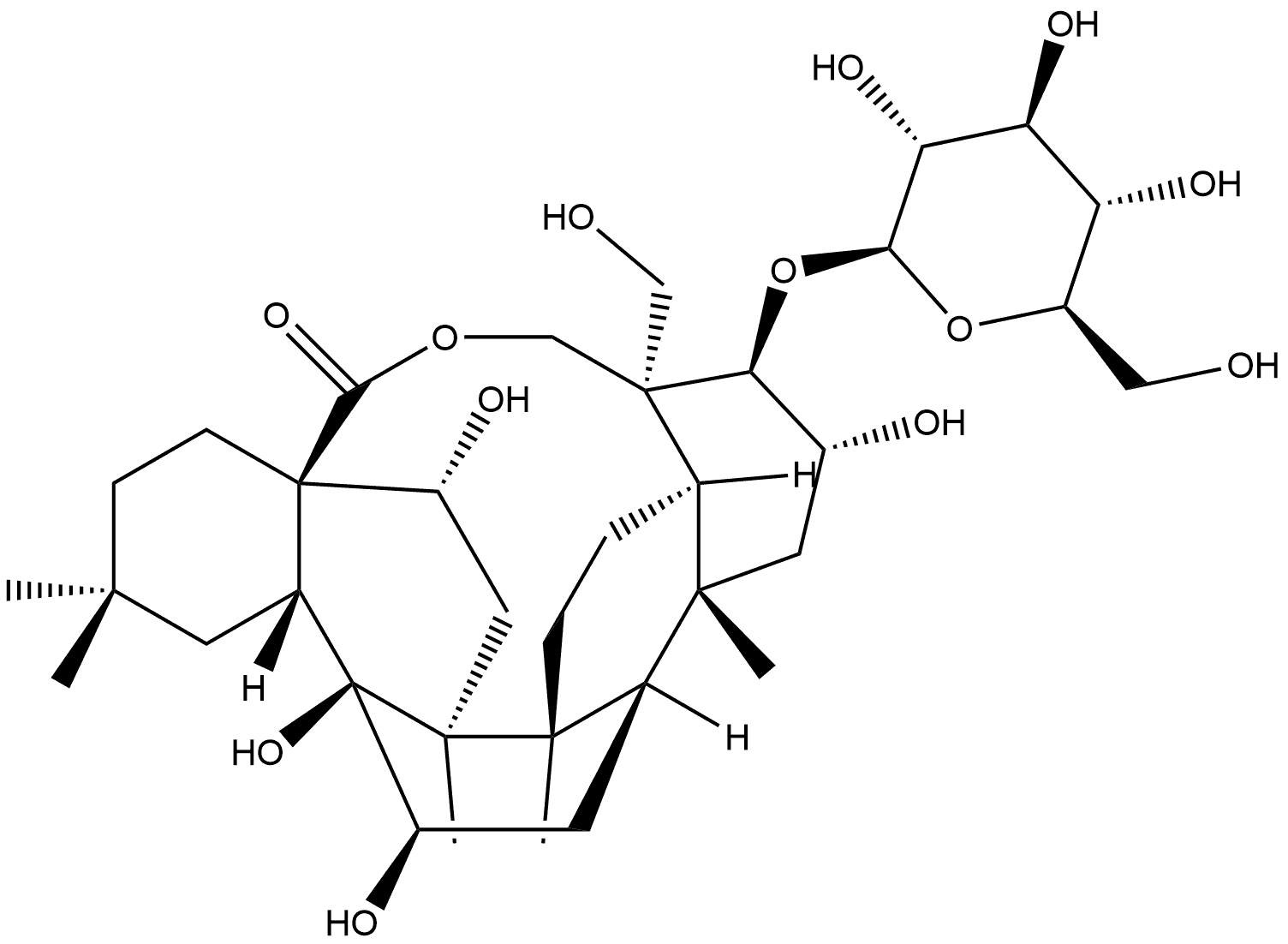 CasImg