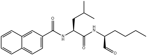 CasImg