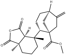 CasImg