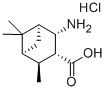 CasImg