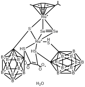 CasImg