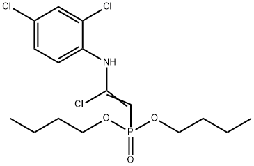 CasImg