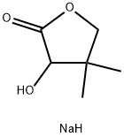CasImg
