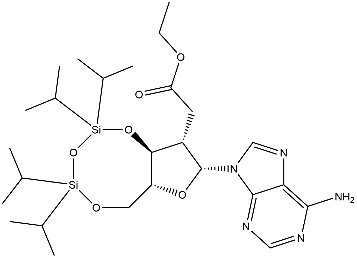 CasImg