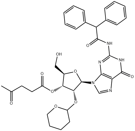 CasImg