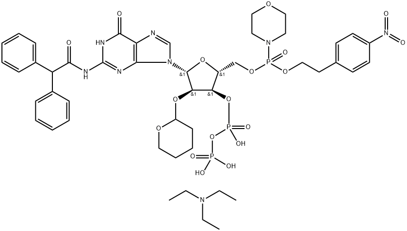 CasImg