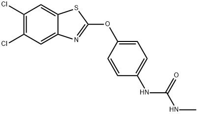 CasImg