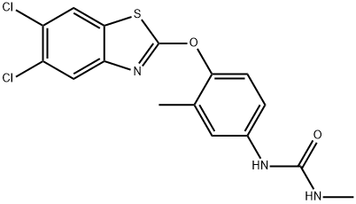 CasImg