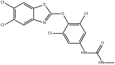 CasImg