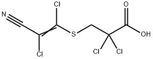 CasImg