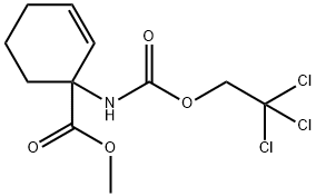 CasImg