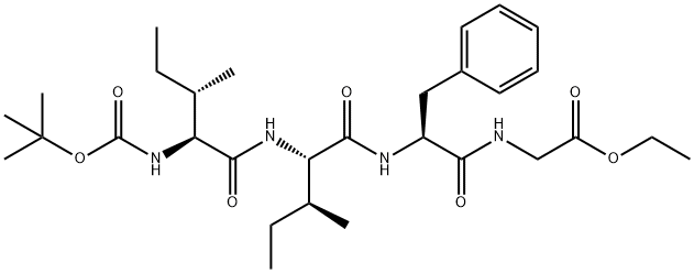 CasImg