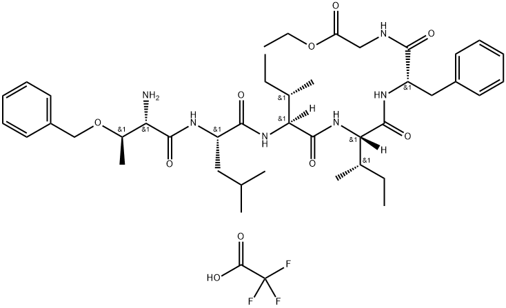 CasImg