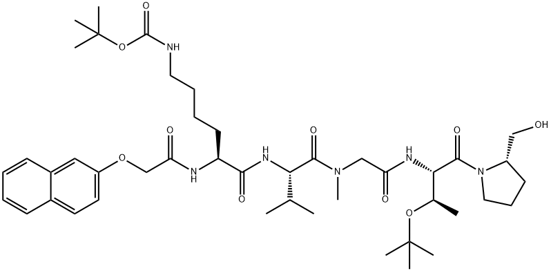 CasImg