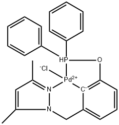 CasImg