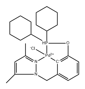CasImg