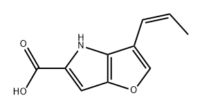 CasImg