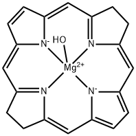 CasImg