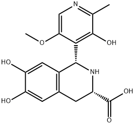 CasImg