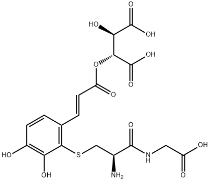 CasImg