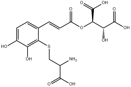 CasImg