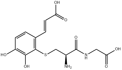 CasImg