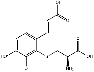 CasImg