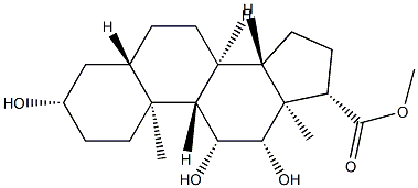 CasImg