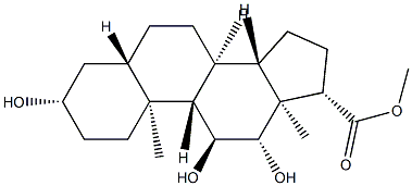 CasImg