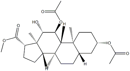 CasImg