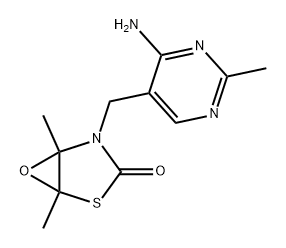 CasImg