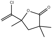 CasImg