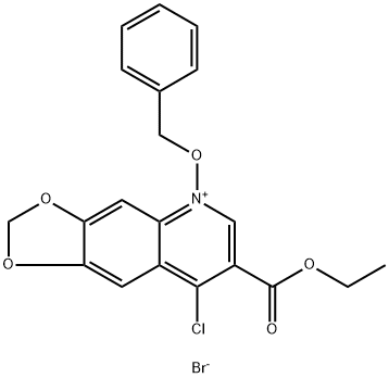 CasImg
