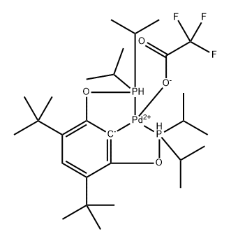 CasImg