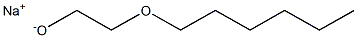 CasImg