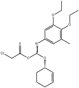 CasImg