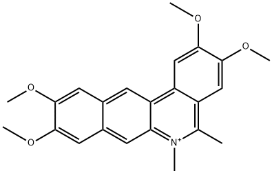 CasImg