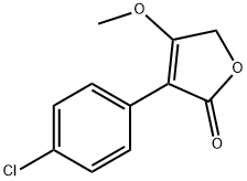 CasImg