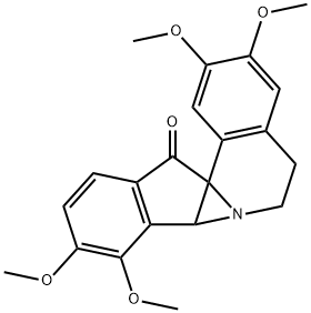 CasImg