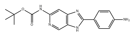 CasImg